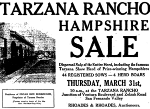 Newspaper_advertisement_disposing_of_herd_of_hogs_on_Tarzana_Rancho,_Los_Angeles_County,_1921